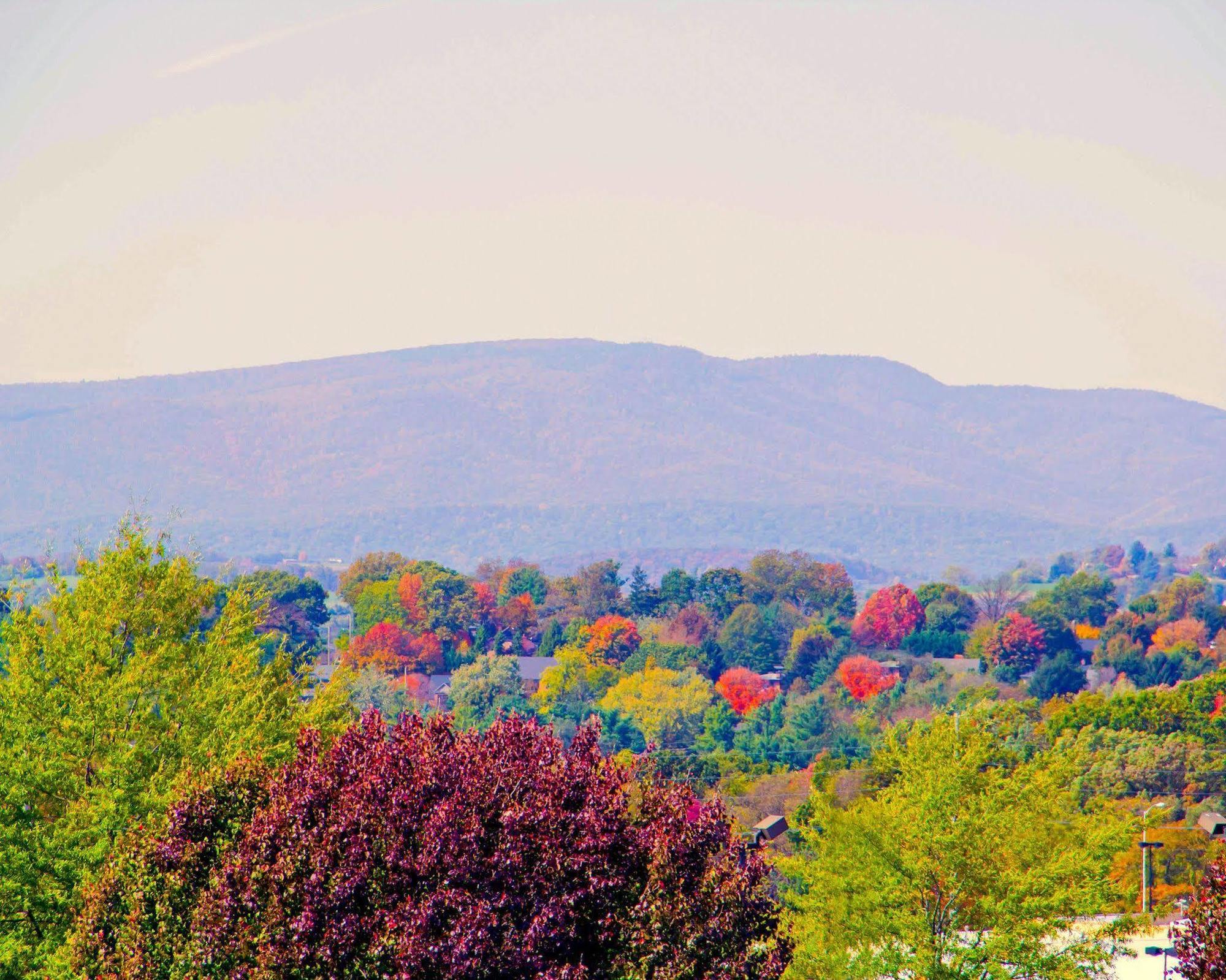 Sleep Inn & Suites Harrisonburg Near University Bagian luar foto